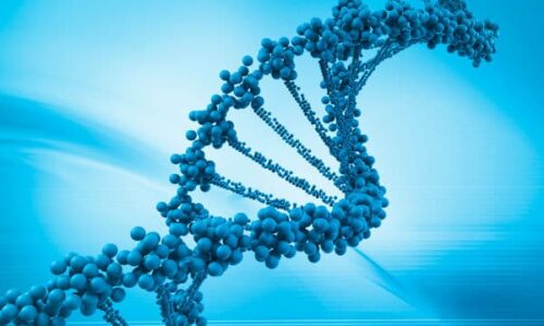 Genetics