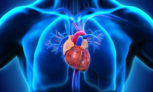 Cardiology