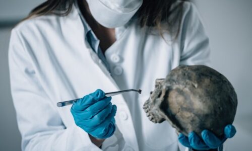 Forensic Medicine and Clinical Toxicology