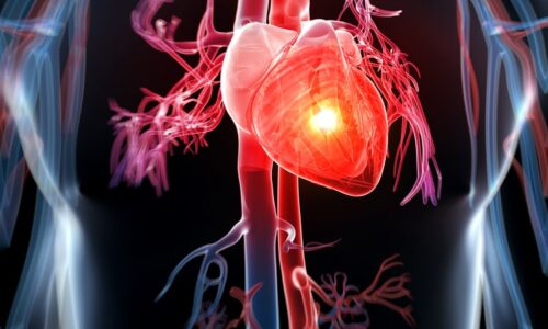 Medical Physiology